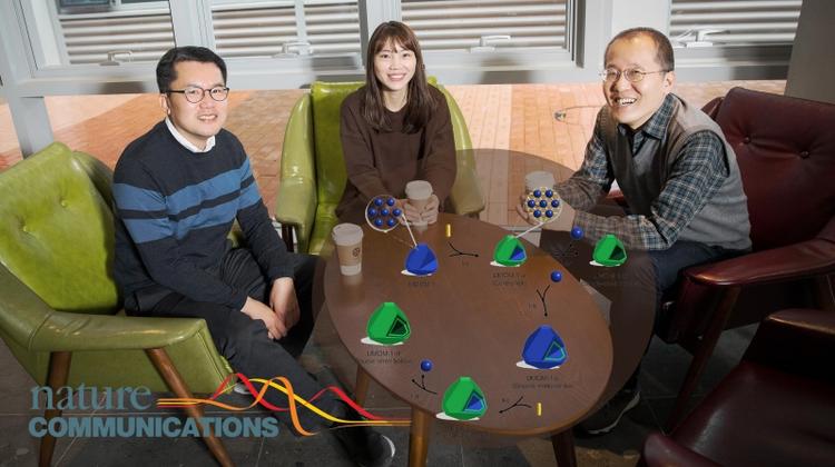 New Insights into the Forms of Metal-Organic Frameworks