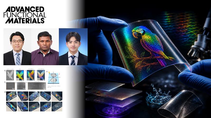 New Wrinkle Architecture Broadens Optical Responses for Advanced Security Films